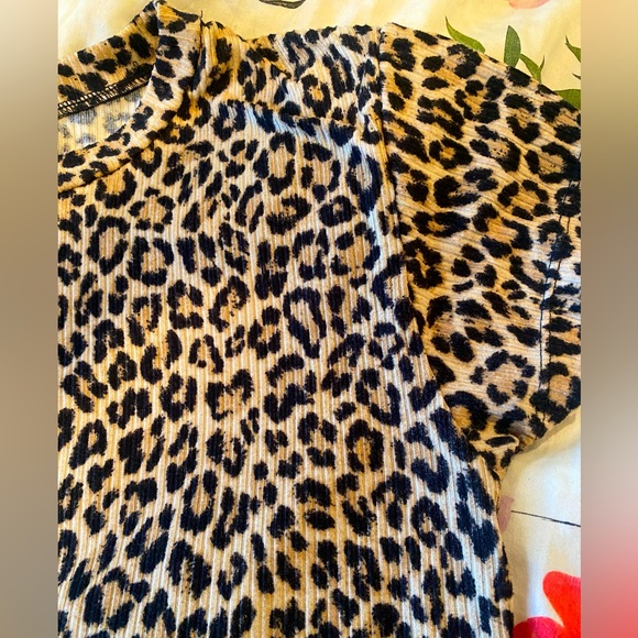 Leopard Print Dress - Picture 4 of 6